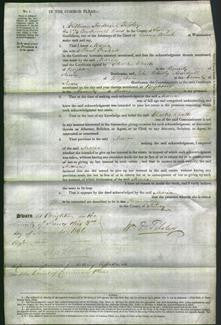 Court of Common Pleas - Maria Foskett-Original Ancestry