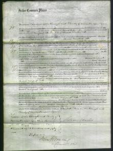 Court of Common Pleas - Margaret Potts-Original Ancestry