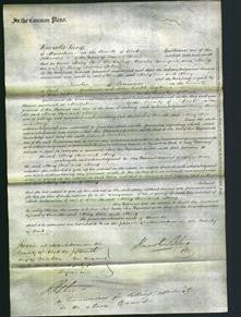 Court of Common Pleas - Mary Ann Bunyard and Mary Metcalfe-Original Ancestry