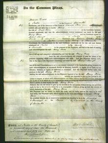 Court of Common Pleas - Mary Moss-Original Ancestry