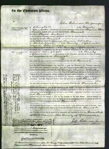 Court of Common Pleas - Hannah Jenkins-Original Ancestry