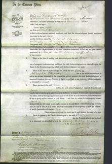 Court of Common Pleas - Jane Neighbour-Original Ancestry