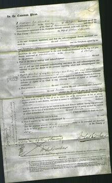 Court of Common Pleas - Louisa Johnson-Original Ancestry