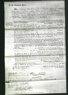 Court of Common Pleas - Julia Emily Gardner-Original Ancestry