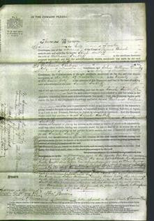 Court of Common Pleas - Sarah Scatliff-Original Ancestry