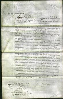 Court of Common Pleas - Elizabeth Davis-Original Ancestry