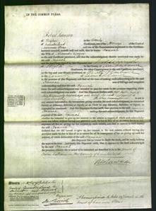 Court of Common Pleas - Hannah Bayne-Original Ancestry