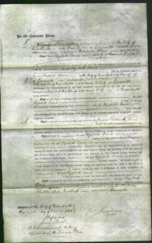 Court of Common Pleas - Elizabeth Davis-Original Ancestry