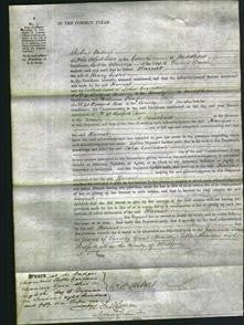 Court of Common Pleas - Harriet Lyster-Original Ancestry