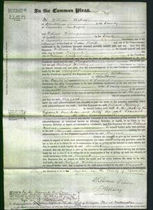 Court of Common Pleas - Margaret Chisnall-Original Ancestry