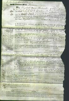 Court of Common Pleas - Elizabeth Richards-Original Ancestry