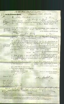Court of Common Pleas - Caroline Leeks-Original Ancestry