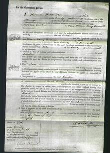 Court of Common Pleas - Caroline Bosworth-Original Ancestry