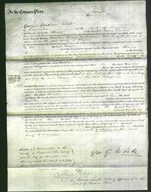 Court of Common Pleas - Emmeline Parnell-Original Ancestry