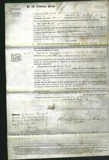 Court of Common Pleas - Sarah Davies-Original Ancestry