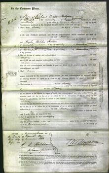 Court of Common Pleas - Mary Davis-Original Ancestry