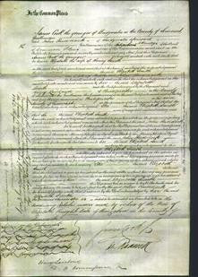 Court of Common Pleas - Elizabeth Smith-Original Ancestry