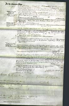 Court of Common Pleas - Emily Baker-Original Ancestry