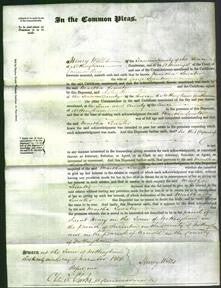 Court of Common Pleas - Martha Lowater-Original Ancestry