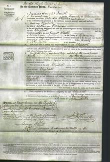 Court of Common Pleas - Elizabeth Harrison-Original Ancestry