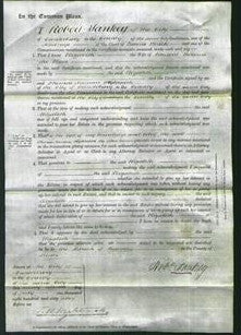 Court of Common Pleas - Elizabeth Adams-Original Ancestry