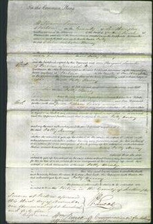 Court of Common Pleas - Patty Harvey-Original Ancestry