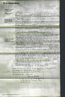 Court of Common Pleas - Mary Farril and Martha Bailey-Original Ancestry