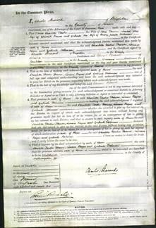 Court of Common Pleas - Charlotte Hooker Hinson, Louisa Payne and Gertrude Holman-Original Ancestry