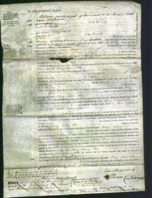 Court of Common Pleas - Mary Anne Steer-Original Ancestry