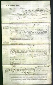 Court of Common Pleas - Elizabeth Nevil-Original Ancestry