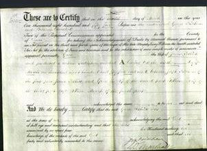 Court of Common Pleas - Hannah Robinson-Original Ancestry