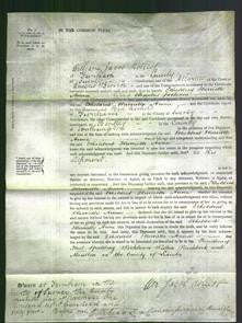 Court of Common Pleas - Etheldred Harriette Anna Jackson-Original Ancestry