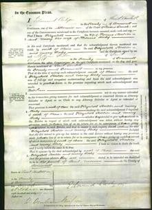 Court of Common Pleas - Elizabeth Stocker and Mary Body-Original Ancestry