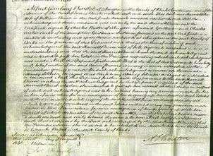 Court of Common Pleas - Harriett Bunce-Original Ancestry