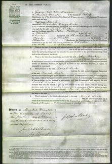 Court of Common Pleas - Sarah Leake-Original Ancestry