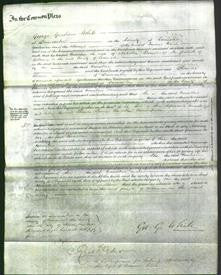 Court of Common Pleas - Emmeline Parnell-Original Ancestry