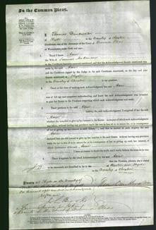Court of Common Pleas - Ann Makinson-Original Ancestry
