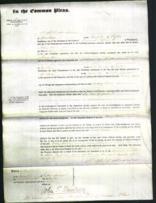 Court of Common Pleas - Mary Ann Wood-Original Ancestry