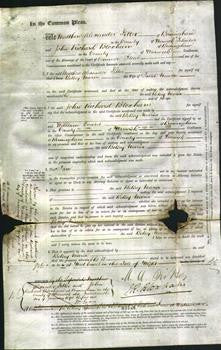 Court of Common Pleas - Betsey Maria Meaden-Original Ancestry