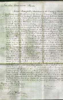 Court of Common Pleas - Hannah Deacon and Eliza Skitter-Original Ancestry