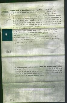 Deed by Married Women - Eliza Jones-Original Ancestry