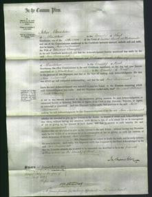 Court of Common Pleas - Ann Susannah Bunyar-Original Ancestry