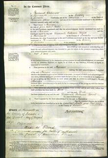 Court of Common Pleas - Marian Kirke-Original Ancestry