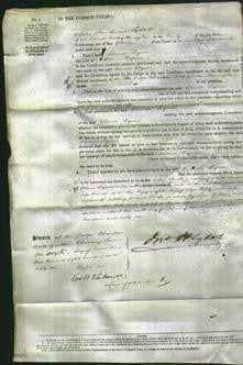 Court of Common Pleas - Eleanor Byrne-Original Ancestry