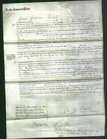 Court of Common Pleas - Emmeline Parnell-Original Ancestry