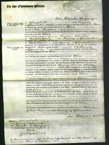 Court of Common Pleas - Olive Simpkin-Original Ancestry