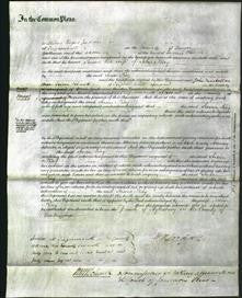 Court of Common Pleas - Susan Kay-Original Ancestry