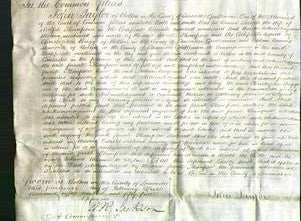 Court of Common Pleas - Sarah Thompson-Original Ancestry