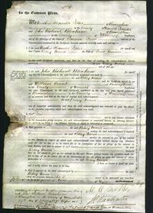 Court of Common Pleas - Betsey Maria Meaden-Original Ancestry