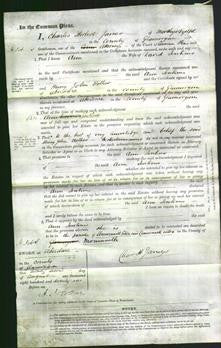 Court of Common Pleas - Ann Jenkins-Original Ancestry